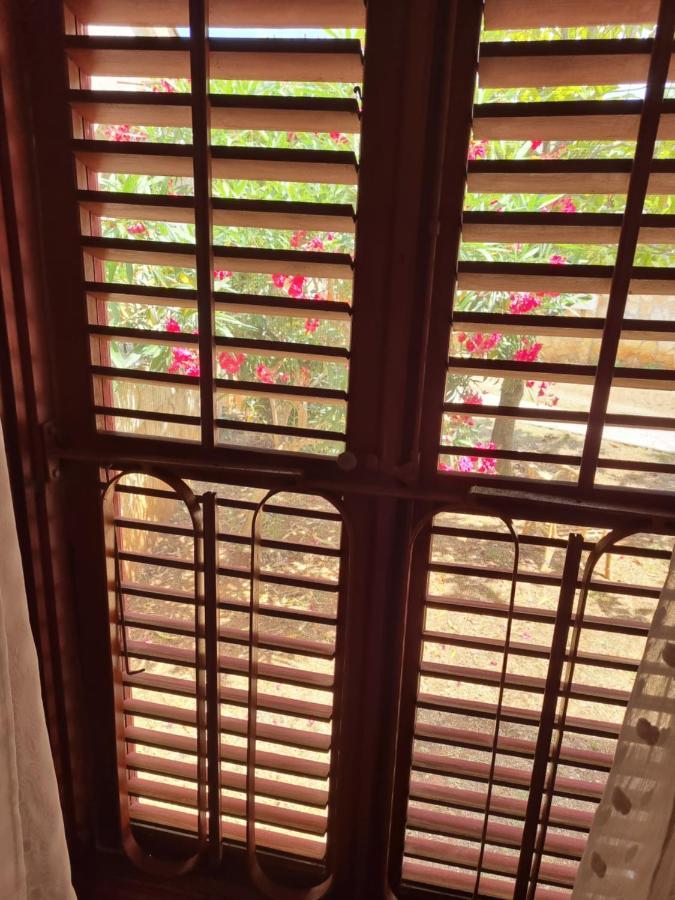 Apartments Jelena Peroj Luaran gambar